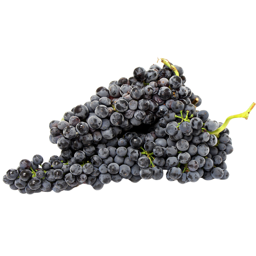 Pinot Noir