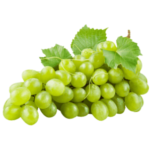 Trebbiano - jeden z najstarszych i najczęściej uprawianych szczepów winorośli we Włoszech. We Francji znany jako Ugni Blanc. Winogrona mają żółto-zielony kolor, z małymi, okrągłymi owocami.
